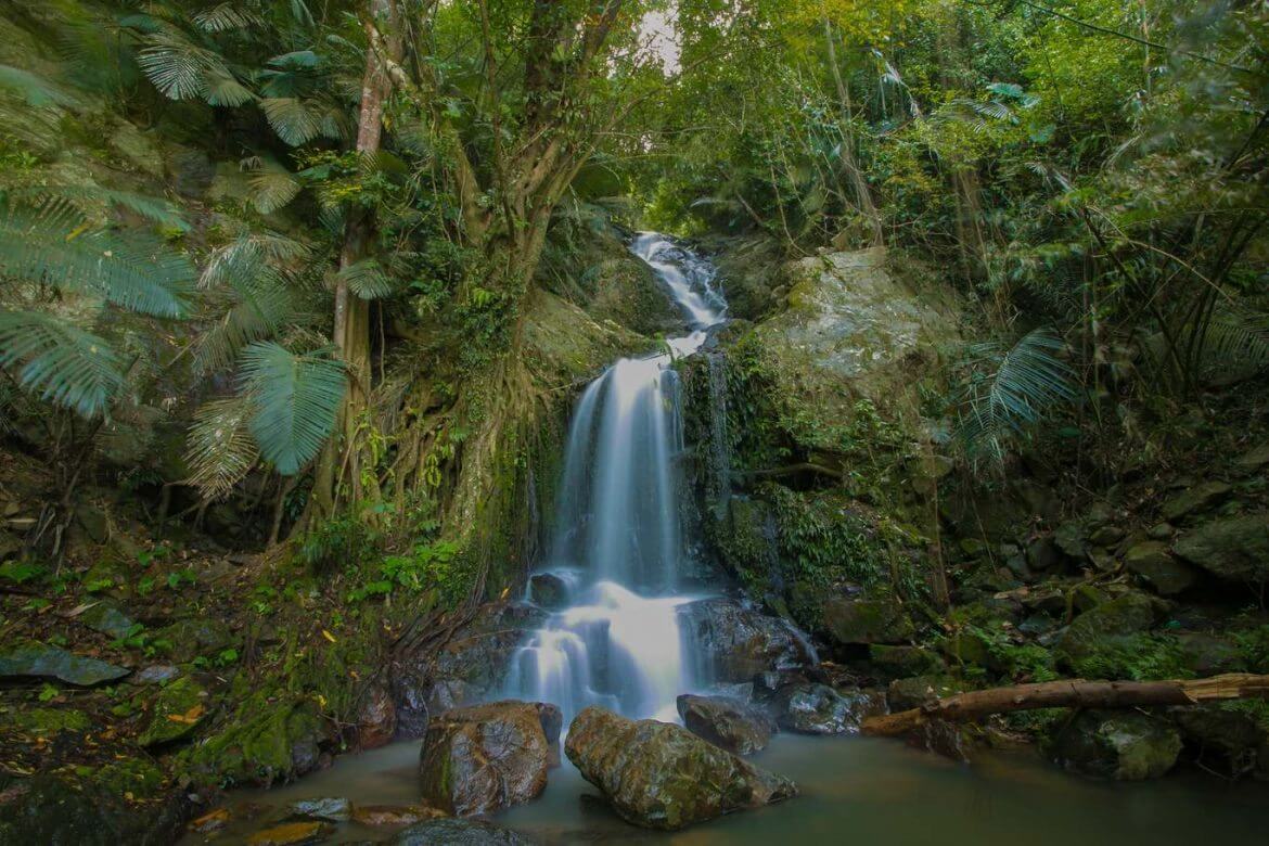 Waterfall - Pailin