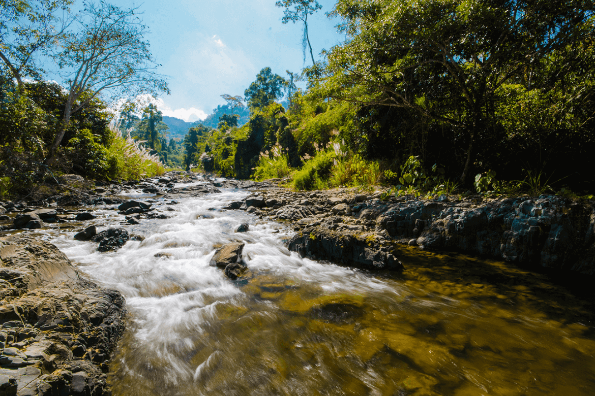 things to do in Cambodia