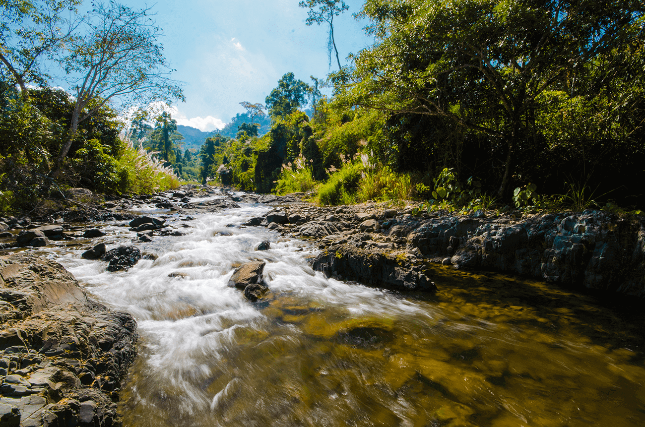 things to do in Cambodia