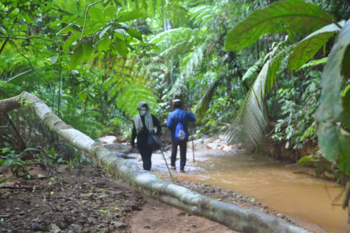 cardamom-trekking