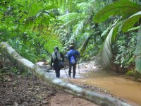 cardamom-trekking